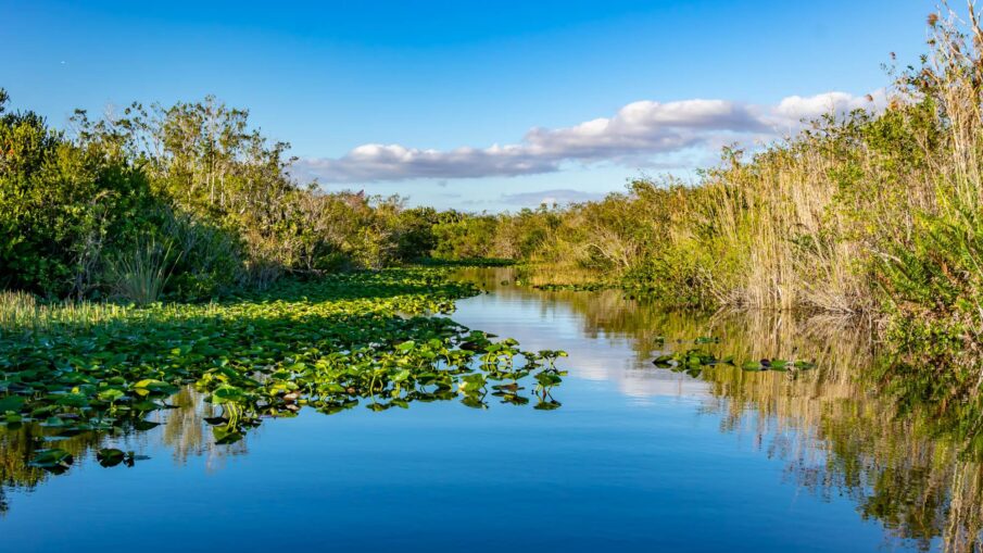 Everglades National Park, Florida